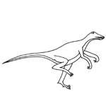 coloriage velociraptor